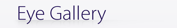 Eye Gallery
